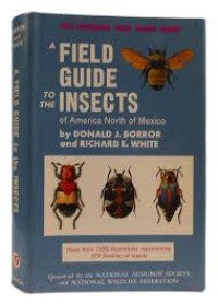 Image of A Field Guide to Insects of America North of Mexico